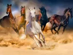 Horses Running in the Desert