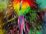 Colorful Parrot