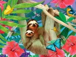 Sweet Sloths