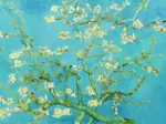 Vincent van Gogh: Almond Blossom