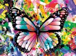 Colorful Butterfly