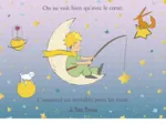 Le Petit Prince - Star Fishing