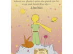 Le Petit Prince - Suit Case