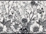 Monochrome Floral Poetry
