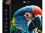 Colourful Nature - Parrot