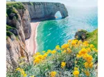 Landscape - The Cliffs Of Etretat - Normandy