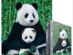 The Panda family