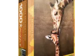 The mother Giraffe and its girafon
