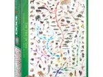 Evolution - the tree of life