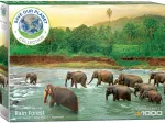 Save our Planet Collection - Rain Forest