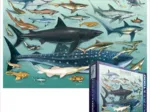 Jigsaw Puzzle - 1000 Pieces - Sharks