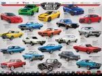 Muscle Car Evolution