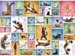 Yoga Cats