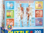 The Human Body