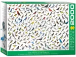 The World of Birds, by David Sibley