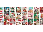 Advent Calendar - Christmas Whiskers - 24 Puzzles