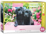 XXL Pieces - Black Labs in Pink Box
