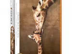 XXL Pieces - Giraffe Mother's Kiss