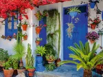 Mediterranean front door