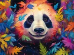 Panda Bear in the Rainbow Forest