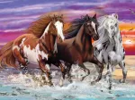 Trio of Wild Horses