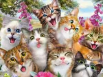 Cats' Selfy