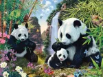 Panda family