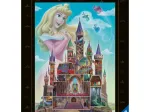 Disney Castles Aurora