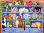 Wellness & Puzzle - Cats on the Shelf