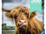 Puzzle Moment - Highland Cattle