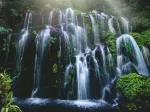 Waterfalls - Bali