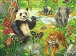 3 Puzzles - Jungle Animals