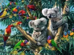 Koalas in The tree