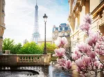 Springtime in Paris