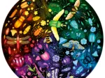 Circle of Colors - Insectes