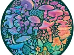 Circle of Colors - Mushrooms
