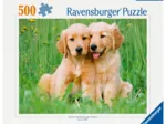 The Golden Retriever Brothers