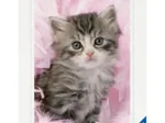 Jigsaw Puzzle - 500 Pieces - Kitten Sweetness