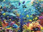 Jigsaw Puzzle - 9000 Pieces - Underwater World