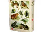 Frogs