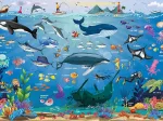 Ocean Animals