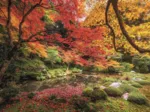 Autumn Park