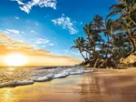 Sunset on a Tropical Beach