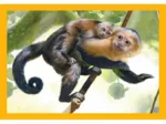 Puzzle 4 en 1 - Mum and Baby Animals