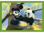 Puzzle 4 en 1 - Mum and Baby Animals