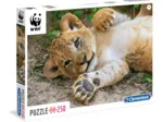 WWF - Lion cub