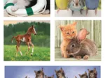 Puzzle 10 in 1 - Animal Friends