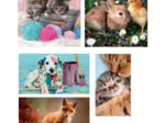Puzzle 10 in 1 - Animal Friends
