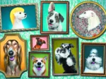 Doggies Gallery