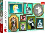 Doggies Gallery